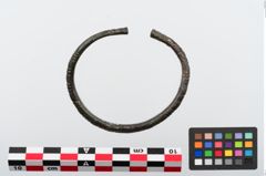 Foto von Bronzeperlarmreif (NHMW-PRAE-024276)
